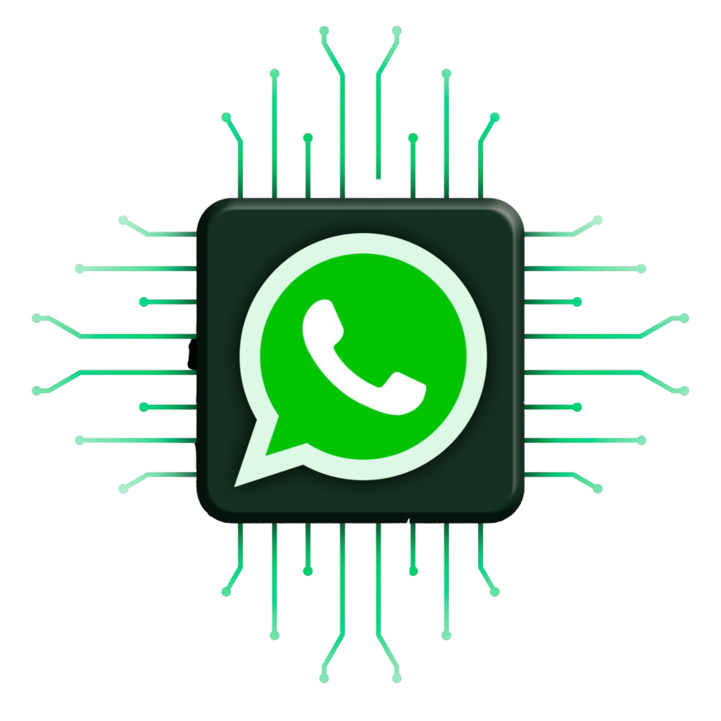 WhatsApp Business API Solution